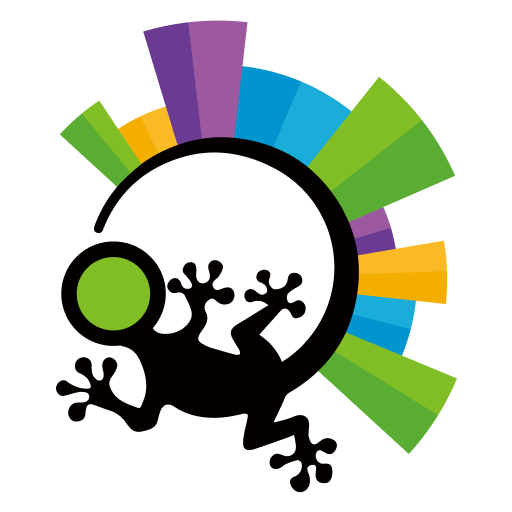 Gecko 中非出海研究组