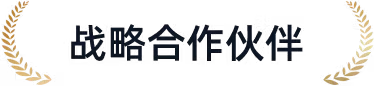 战略合作伙伴